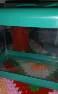 اکواریوم کوچیک