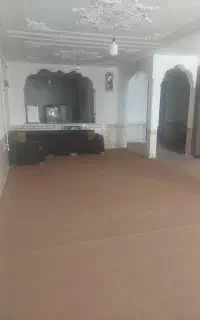 موکت
