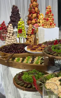 سفارش انواع فینگرفود و غذا و سوشی و دسر
