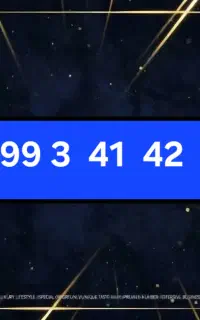 0999-3-41-42-43
