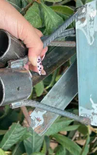 علف زن دستی با انواع نهال های لیبل دار