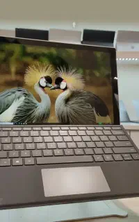 سرفیس پرو Surface pro 6
