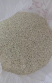 برنج چمپا خوش عطر خوش پخت بشرط درجه یک