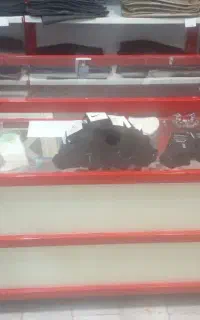 ویترین یک و نیم متری