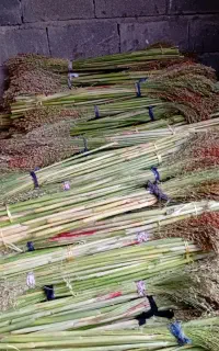 جاروشهری