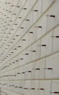 خدمات سنگ کاری،پیچ رولپلاک نما