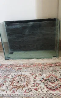 اکواریوم