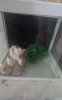 آکواریوم برند چینی