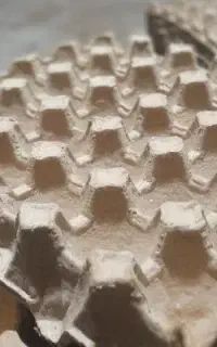 استخدام نیرو خانم