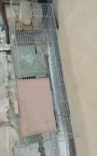 قفس سالم وبزرگ اندازه 100 در 40