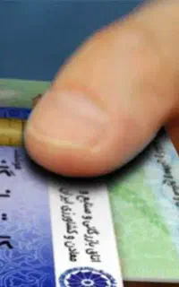 صادرات خشکبا و تره بار
