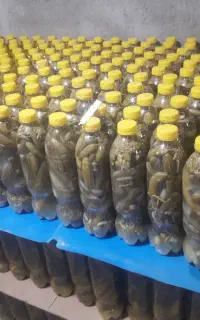 خیارشور رویال