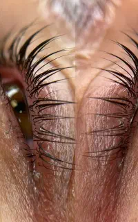 لیفت مژه ابروفقط امروزنیم بها