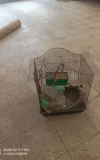 قفس پرنده کامل