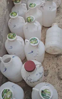 دبه خیار شوری