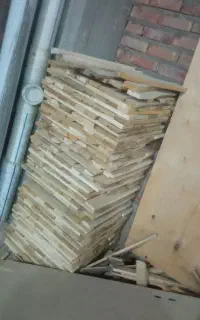 فروش ۱۰۰۰ تخته صنوبر