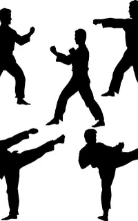 انواع مبارزات رینگی،آزاد ،ام ام ای