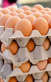 تخم مرغ محلی