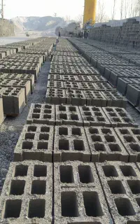استخدام نیروی کار