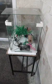 آکواریم خانگی با متعلقات و پایه فلزی