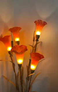 آباژور کنار سالنی