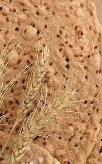 نان بومی با آرد گندم کامل
