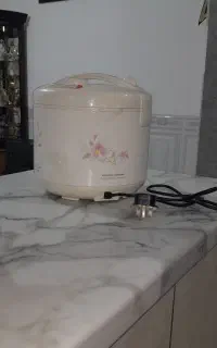 پلوپز برقی