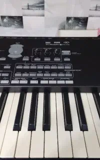 اورگ pa3 شش اوکتاو
