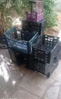 سبد