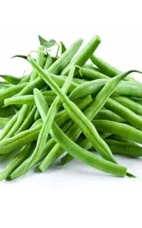 لوبیا  تازه سزب