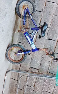 دوچرخه دوازده