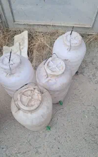 ۴ دبه ۲۰ لیتری شیردار