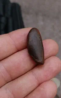 نگین هبهاب