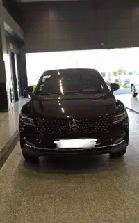 دیگنیتی پرایم داخل مارون سند تک برگ