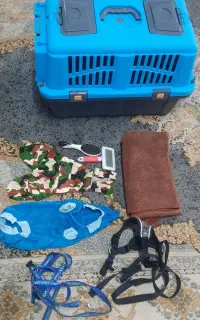 باکس سگ و لباس و قلاده