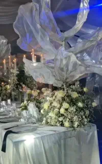 تشریفات عقد وعروسی ایفوریا