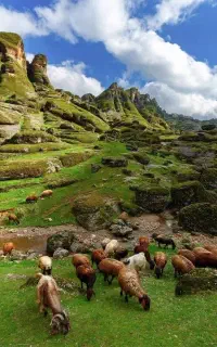تور یک‌ روزه بهاره مخمل کوه لرستان و کاشان