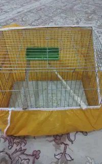 قفس پرنده