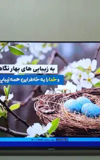 تلویزون55اینچ دنای