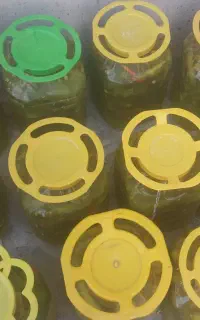ترد وخوشمزه
