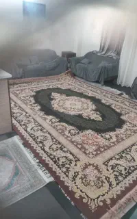 قالی در حد نوه