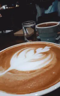 نگاهی به سرنوشت
