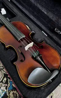 ویولن حرفه ای المانی