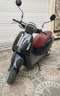 بنلی پانارئا
