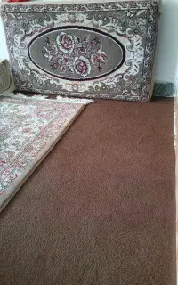 ۶عددپشتی