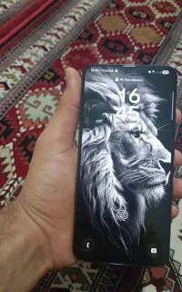 s 22 plus