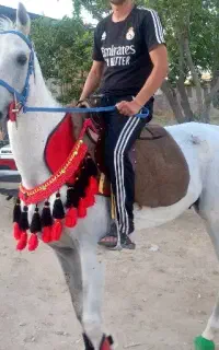 اسب مدارک دار معتبر از فدراسیون