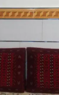 پشتی