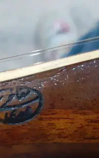 سه تار مفاخر