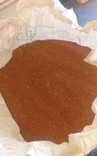 بذر کاملینا